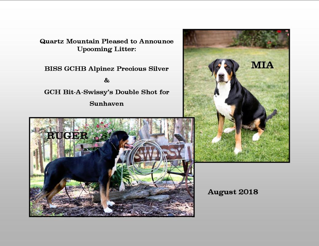 Mia - Ruger Announcement.jpg